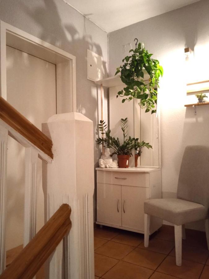 Villa Monera Apartments & Rooms & Free Garage Mostar Exterior foto